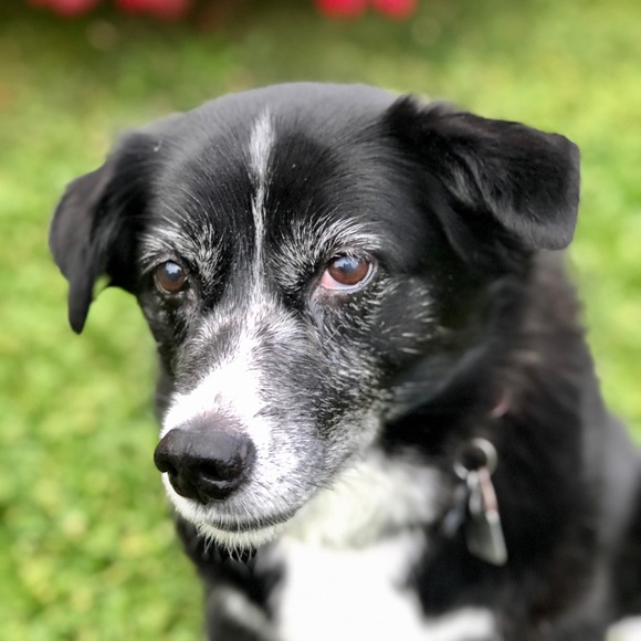 Meet your Posher, Jen - Picture 1 of 1